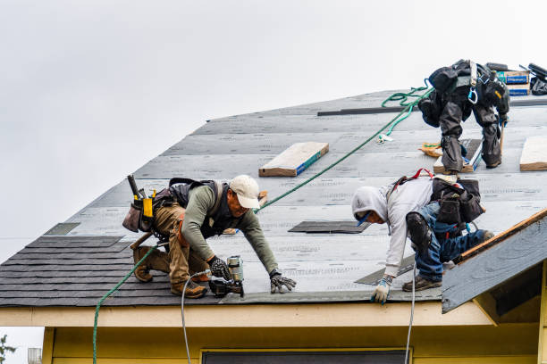 Professional Gutter Installation technician working in Warren, MN